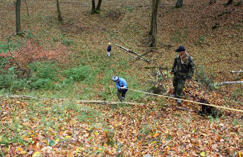 img00037.jpg
