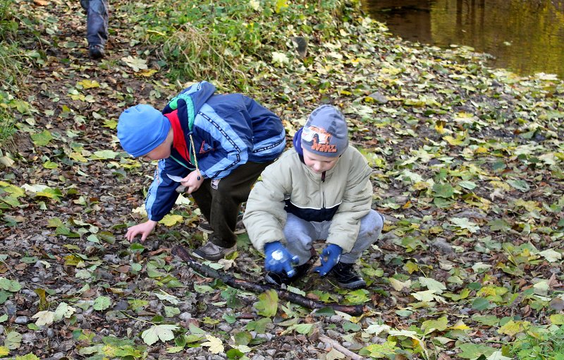 img00050.jpg