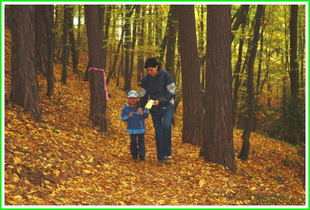 img00045.jpg