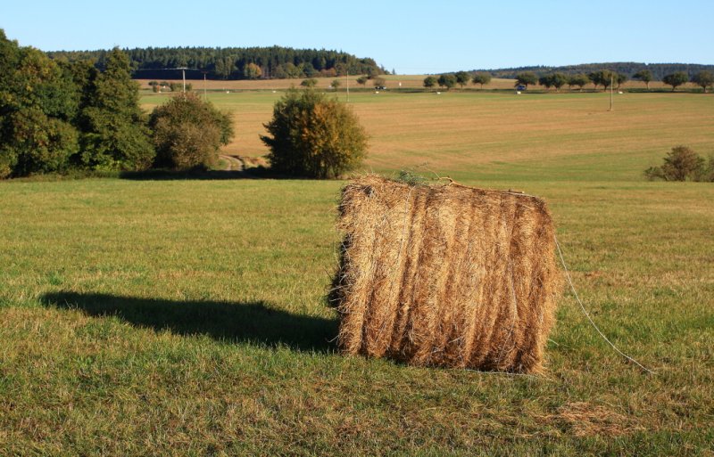 img00024.jpg