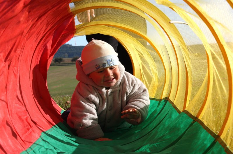 img00029.jpg
