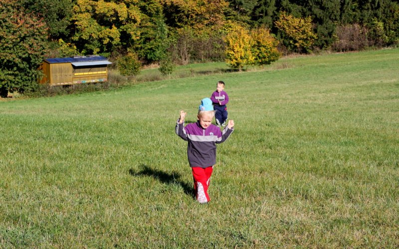 img00079.jpg
