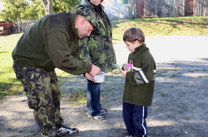 img00096.jpg