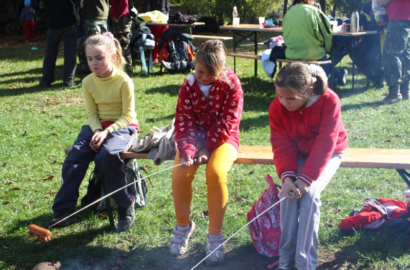 img00106.jpg