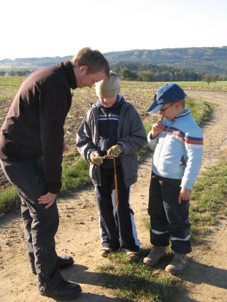 img00006.jpg
