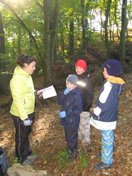 img00010.jpg