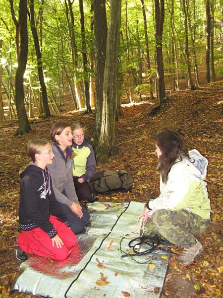img00019.jpg