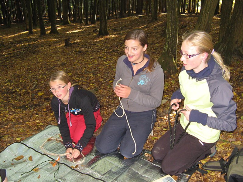 img00020.jpg