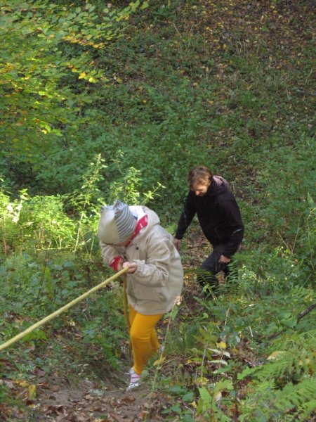 img00026.jpg