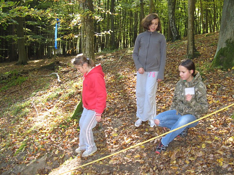 img00027.jpg
