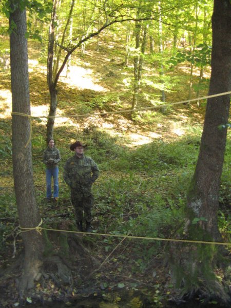 img00031.jpg