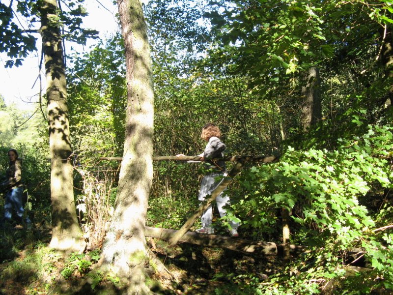 img00039.jpg