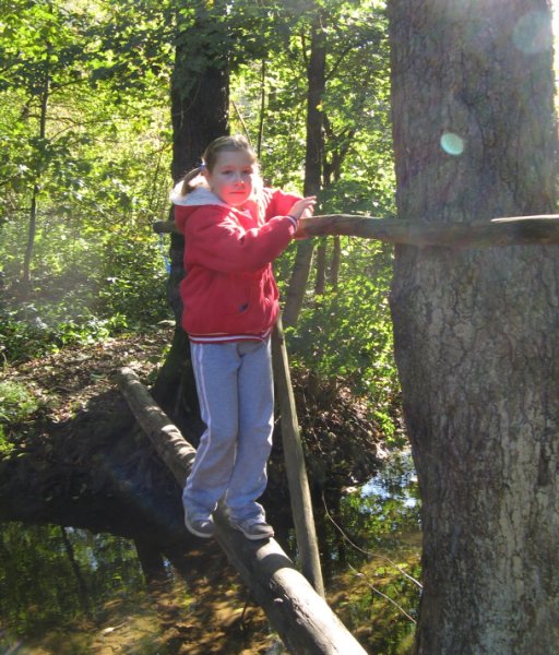 img00042.jpg