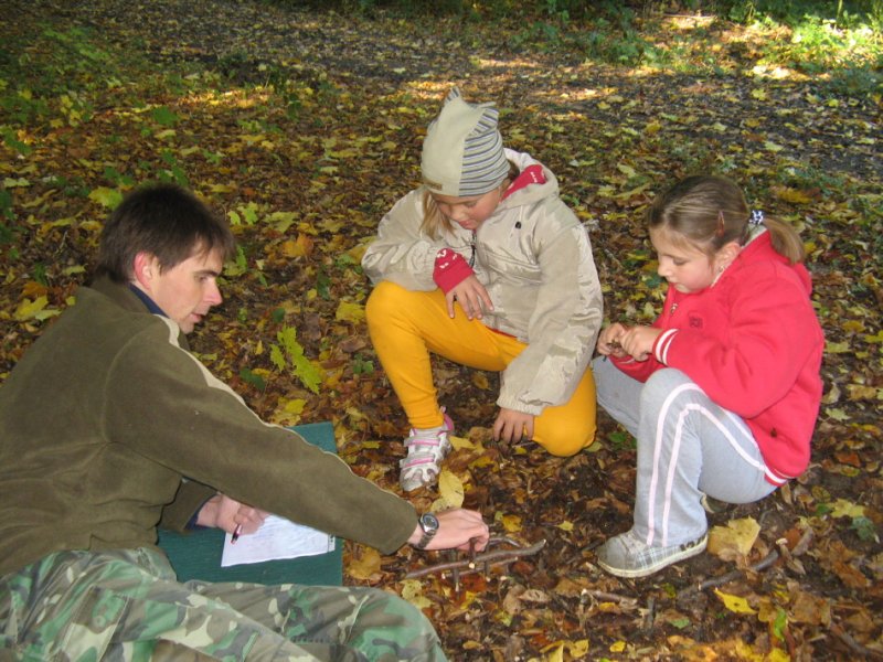 img00045.jpg