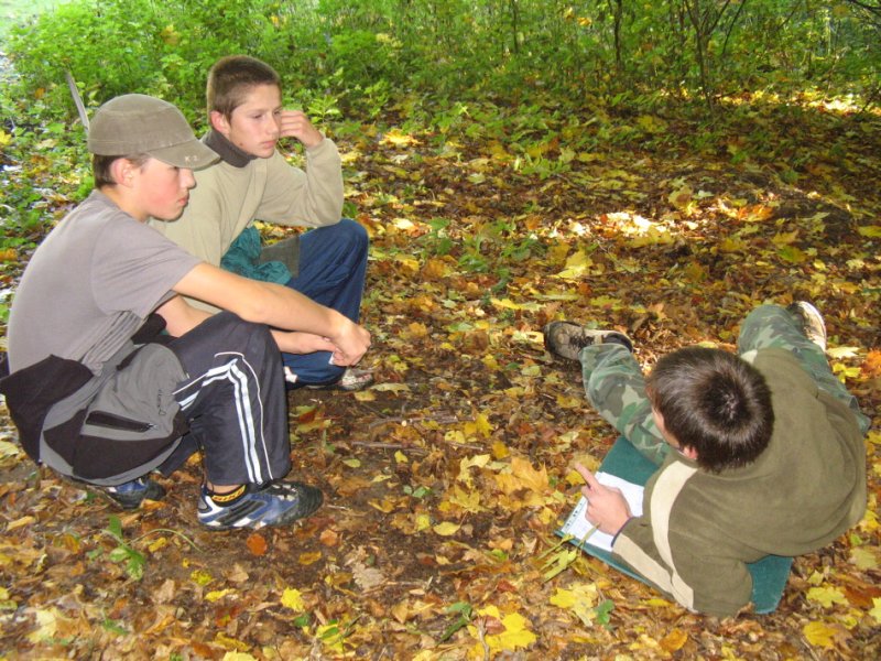 img00046.jpg