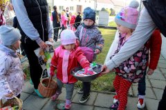 IMG_7337