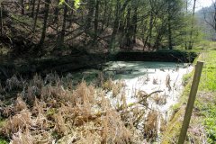 IMG_7605