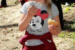 IMG_7639