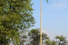 IMG_7882