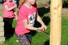 IMG_8654