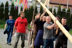 IMG_7993