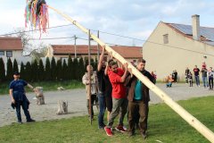 IMG_7995